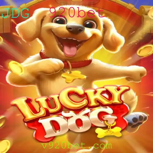 Descubra o Emocionante Mundo de LuckyDog no 920bet